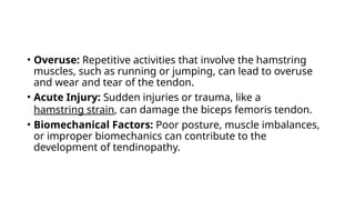 BICEPS FEMORIS.pptx..................... | PPTX