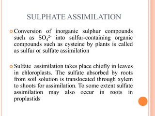 biochemistry of sulphur containing aminoacids | PPTX