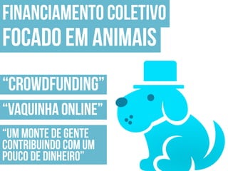 Apresentação do site "Bicharia"