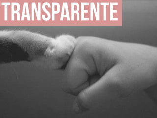 Apresentação do site "Bicharia"