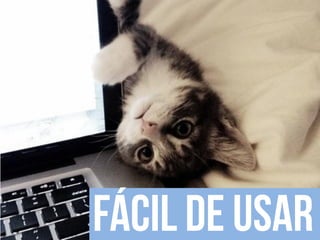 Apresentação do site "Bicharia"