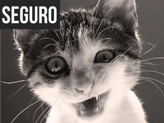 Apresentação do site "Bicharia"