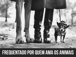 Apresentação do site "Bicharia"