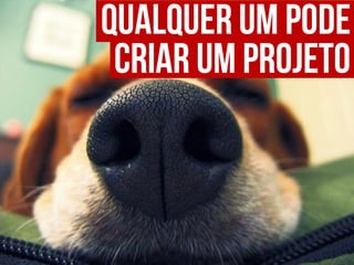 Apresentação do site "Bicharia"