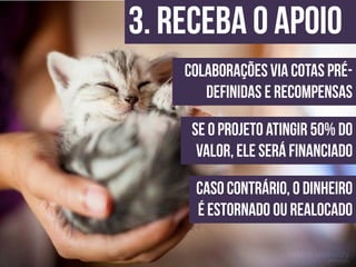 Apresentação do site "Bicharia"