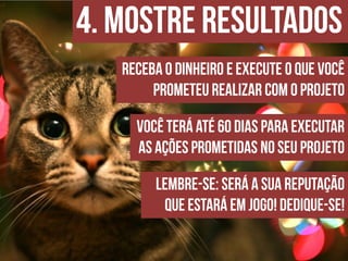 Apresentação do site "Bicharia"