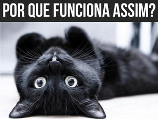 Apresentação do site "Bicharia"