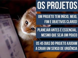 Apresentação do site "Bicharia"