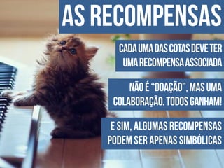 Apresentação do site "Bicharia"