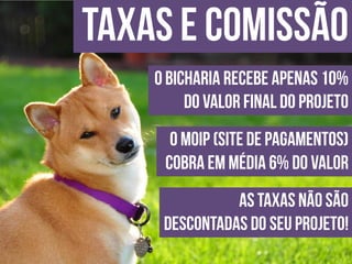 Apresentação do site "Bicharia"