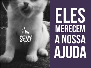 Apresentação do site "Bicharia"