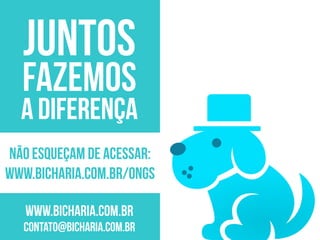 Apresentação do site "Bicharia"