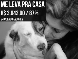 Apresentação do site "Bicharia"