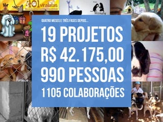 Apresentação do site "Bicharia"