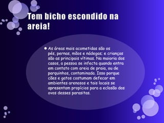 Tem bicho escondido na areia!As áreas mais acometidas são os pés, pernas, mãos e nádegas; e crianças são as principais vítimas. Na maioria dos casos, a pessoa se infecta quando entra em contato com areia de praia, ou de parquinhos, contaminada. Isso porque cães e gatos costumam defecar em ambientes arenosos e tais locais se apresentam propícios para a eclosão dos ovos desses parasitas.