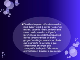 Ela não ultrapassa além das camadas mais superficiais. E então fica por ali mesmo, cavando túneis, andando sem rumo, dando uma de cartógrafo (profissional que desenha mapas).As lesões características do bicho geográfico são justamente os túneis que o parasita vai cavando e que conseguimos enxergar pela transparência da pele. São sulcos avermelhados, sinuosos e que coçam.