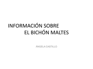 INFORMACIÓN SOBRE
     EL BICHÓN MALTES

         ÁNGELA CASTILLO
 