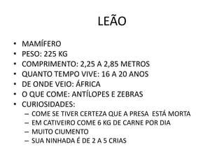 LEÃO
•   MAMÍFERO
•   PESO: 225 KG
•   COMPRIMENTO: 2,25 A 2,85 METROS
•   QUANTO TEMPO VIVE: 16 A 20 ANOS
•   DE ONDE VEIO: ÁFRICA
•   O QUE COME: ANTÍLOPES E ZEBRAS
•   CURIOSIDADES:
    –   COME SE TIVER CERTEZA QUE A PRESA ESTÁ MORTA
    –   EM CATIVEIRO COME 6 KG DE CARNE POR DIA
    –   MUITO CIUMENTO
    –   SUA NINHADA É DE 2 A 5 CRIAS
 