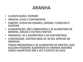 ARANHA
• CLASSIFICAÇÃO: OVÍPARO
• ORIGEM: ILHAS E CONTINENTES
• HABITAT: VIVEM EM CIDADES, JARDINS, FLORESTAS E
  QUINTAIS
• ALIMENTAÇÃO: SÃO CARNIVOROS E SE ALIMENTAM DE
  BARATAS, GRILOS E OUTROS INSETOS
• TAMANHO: DE 2 MILÍMETROS A 20 CENTIMETROS.
• CURIOSIDADE: EXISTEM MAIS DE 30 MIL ESPÉCIES DE
  ARANHAS.
  TODAS PREDADORAS E SE ALIMENTAM DE INSETOS, MAS
  ALGUMA PODEMSE ALIMENTAR DE ANIMAIS MAIORES
  COMO LAGARTIXAS RÃS E ATÉ FILHOTES DE AVES.
 