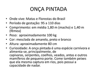 ONÇA PINTADA
• Onde vive: Matas e Florestas do Brasil
• Período de gestação: 95 a 110 dias
• Comprimento: em média 1,80 m (macho) e 1,40 m
  (fêmea)
• Peso: aproximadamente 100 kg
• Cor: mesclada de amarelo, preto e branco
• Altura: aproximadamente 80 cm
• Curiosidade: A onça pintada é uma espécie carnívora e
  alimenta-se, principalmente, de
  capivaras, serpentes, coelhos, veados, antas e outros
  mamíferos de pequeno porte. Come também peixes
  que ela mesma captura em rios, pois possui a
  capacidade de nadar.
 