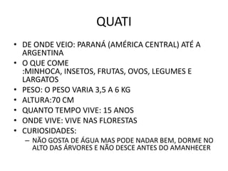 QUATI
• DE ONDE VEIO: PARANÁ (AMÉRICA CENTRAL) ATÉ A
  ARGENTINA
• O QUE COME
  :MINHOCA, INSETOS, FRUTAS, OVOS, LEGUMES E
  LARGATOS
• PESO: O PESO VARIA 3,5 A 6 KG
• ALTURA:70 CM
• QUANTO TEMPO VIVE: 15 ANOS
• ONDE VIVE: VIVE NAS FLORESTAS
• CURIOSIDADES:
  – NÃO GOSTA DE ÁGUA MAS PODE NADAR BEM, DORME NO
    ALTO DAS ÁRVORES E NÃO DESCE ANTES DO AMANHECER
 