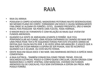 RAIA
•   RAIA OU ARRAIA
•   POSSUEM O CORPO ACHATADO, NADADEIRAS PEITORAIS MUITO DESENVOLVIDAS
    NO MESMO PLANO DO CORPO FORMANDO UM DISCO E CAUDA NORMALMENTE
    FINA ONDE SE ALOJAM OS FERRÕES. ESTES, QUANDO PRESENTES, SÃO O MAIOR
    RISCO, POIS POSSUEM NA PONTA UMA FLECHA, TODA FARPADA.
•   O MAIOR RISCO DE FERIMENTO É COM RELAÇÃO AS RAIAS QUE VIVEM EM
    FUNDOS ARENOSOS.
•   QUANDO ELA SENTE-SE AMEAÇADA LEVANTA O FERRÃO QUE FICA
    PERPENDICULAR AO FUNDO. UMA PESSOA ENTRANDO OU SAINDO DO MAR POR
    UMA PRAIA PODE TER O PÉ ESQUERDO FERIDO POR ESTE EFICIENTE DARDO DE
    DEFESA QUE CAUSA MUITA DOR E ÀS VEZES SÉRIA INFLAMAÇÃO. É LOGICO QUE A
    RAIA NÃO VAI FICAR PARADA A ESPERA DE SER PISADA, ISSO SÓ ACONTECE
    QUANDO ELA É ACUADA OU ESTÁ MUITO FERIDA.
•   EXISTE RAIA EM ÁGUA DOCE E NO MAR. DAS MARINHAS DESTACO A ESPÉCIE MAIS
    COMENTADA:
•   A RAIA ELÉTRICA - TAMBÉM CONHECIDA COMO TREME-TREME, POIS DÁ
    DESCARGAS ELÉTRICAS. POSSUI O CORPO QUASE CIRCULAR, CAUDA GROSSA COM
    NADADEIRAS E A PARTE VENTRAL COM MANCHAS. VIVENDO EM FUNDOS
    ARENOSOS OU DE CASCALHO, FICA SEMI ENTERRADA A ESPERA DA PRESA. NÃO
    POSSUI FERRÃO.
 