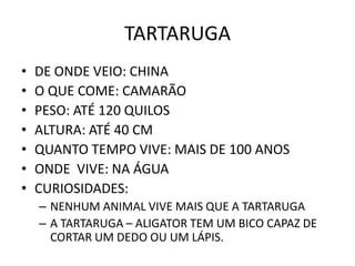 TARTARUGA
•   DE ONDE VEIO: CHINA
•   O QUE COME: CAMARÃO
•   PESO: ATÉ 120 QUILOS
•   ALTURA: ATÉ 40 CM
•   QUANTO TEMPO VIVE: MAIS DE 100 ANOS
•   ONDE VIVE: NA ÁGUA
•   CURIOSIDADES:
    – NENHUM ANIMAL VIVE MAIS QUE A TARTARUGA
    – A TARTARUGA – ALIGATOR TEM UM BICO CAPAZ DE
      CORTAR UM DEDO OU UM LÁPIS.
 
