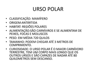 URSO POLAR
• CLASSIFICAÇÃO: MAMÍFERO
• ORIGEM:ANTÁRTIDA
• HABITAT: REGIÕES POLARES
• ALIMENTAÇÃO:SÃO CARNÍVIROS E SE ALIMENTAM DE
  PEIXES, FOCAS E MOLUSCOS
• PESO: EM MÉDIA 720 QUILOS
• TAMANHO: PODEM CHEGAR ATÉ 3 METROS DE
  COMPRIMENTO.
• CURIOSIDADE: O URSO POLAR É O MAIOR CARNÍVORO
  TERRESTRE, TEM UM CORPO MAIS LONGO QUE OS
  OUTROS URSOS E SÃO CAPAZES DE NADAR ATÉ 80
  QUILOMETROS SEM DESCANSO.
 