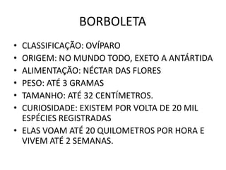 BORBOLETA
• CLASSIFICAÇÃO: OVÍPARO
• ORIGEM: NO MUNDO TODO, EXETO A ANTÁRTIDA
• ALIMENTAÇÃO: NÉCTAR DAS FLORES
• PESO: ATÉ 3 GRAMAS
• TAMANHO: ATÉ 32 CENTÍMETROS.
• CURIOSIDADE: EXISTEM POR VOLTA DE 20 MIL
  ESPÉCIES REGISTRADAS
• ELAS VOAM ATÉ 20 QUILOMETROS POR HORA E
  VIVEM ATÉ 2 SEMANAS.
 