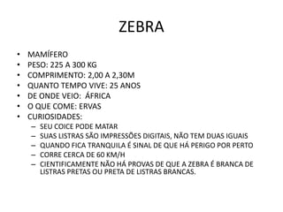 ZEBRA
•   MAMÍFERO
•   PESO: 225 A 300 KG
•   COMPRIMENTO: 2,00 A 2,30M
•   QUANTO TEMPO VIVE: 25 ANOS
•   DE ONDE VEIO: ÁFRICA
•   O QUE COME: ERVAS
•   CURIOSIDADES:
    –   SEU COICE PODE MATAR
    –   SUAS LISTRAS SÃO IMPRESSÕES DIGITAIS, NÃO TEM DUAS IGUAIS
    –   QUANDO FICA TRANQUILA É SINAL DE QUE HÁ PERIGO POR PERTO
    –   CORRE CERCA DE 60 KM/H
    –   CIENTIFICAMENTE NÃO HÁ PROVAS DE QUE A ZEBRA É BRANCA DE
        LISTRAS PRETAS OU PRETA DE LISTRAS BRANCAS.
 