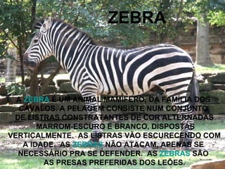 ZEBRA A  ZEBRA  É UM ANIMAL MAMÍFERO, DA FAMÍLIA DOS  CAVALOS. A PELAGEM CONSISTE NUM CONJUNTO  DE LISTRAS CONSTRATANTES DE COR ALTERNADAS MARROM-ESCURO E BRANCO, DISPOSTAS VERTICALMENTE.  AS LISTRAS VÃO ESCURECENDO COM  A IDADE.  AS  ZEBRAS  NÃO ATACAM, APENAS SE  NECESSÁRIO PRA SE DEFENDER.  AS  ZEBRAS  SÃO  AS PRESAS PREFERIDAS DOS LEÕES. 