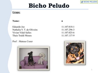 1 Bicho Peludo Grupo: Nome:					n° Eduardo Joe 				11.107.018-1 Nathalia V. T. de Oliveira			11.107.296-3 Vivian Vidal Salles				11.107.025-6 Thais Traldi Moura				11.107.137-9 Prof°: Mateus Cozer 