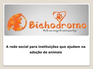 A rede social para instituições que ajudam na
adoção de animais

 