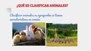 ¿QUÉ ES CLASIFICAR ANIMALES?
Clasificar animales es agruparlos si tienen
características en común.
 