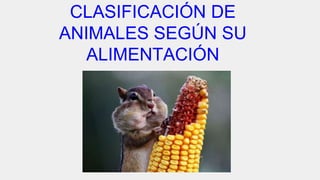 CLASIFICACIÓN DE
ANIMALES SEGÚN SU
ALIMENTACIÓN
 