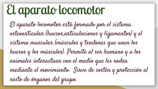 El aparato locomotor
El aparato locomotor está formado por el sistema
osteoarticular (huesos,articulaciones y ligamentos) y el
sistema muscular (músculos y tendones que unen los
huesos y los músculos). Permite al ser humano y a los
animales interactuar con el medio que les rodea
mediante el movimiento. Sirve de sostén y protección al
resto de órganos del grupo.
 