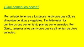¿Qué comen los peces?
-Por un lado, tenemos a los peces herbívoros que sólo se
alimentan de algas y vegetales. También están los
omnívoros que comen tanto plantas como animales. Por
último, tenemos a los carnívoros que se alimentan de otros
animales.
 