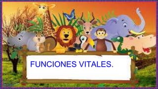FUNCIONES VITALES.
 