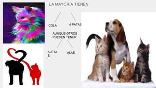 LA MAYORÍA TIENEN
COLA 4 PATAS
AUNQUE OTROS
PUEDEN TENER
ALETA
S
ALAS
 