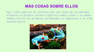 MÁS COSAS SOBRE ELLOS
Hay 7.492 especies de anfibios.Son una clase de vertebrados
ovíparos.La palabra anfibio significa ambas vidas o en ambos
medios.Fueron los primeros vertebrados en adaptarse a la vida
semiterrestre.
 