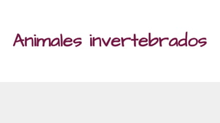 Animales invertebrados
 