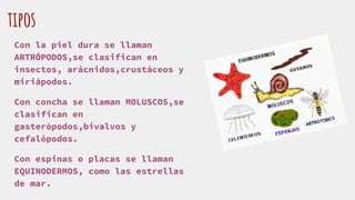 tipos
Con la piel dura se llaman
ARTRÓPODOS,se clasifican en
insectos, arácnidos,crustáceos y
miriápodos.
Con concha se llaman MOLUSCOS,se
clasifican en
gasterópodos,bivalvos y
cefalópodos.
Con espinas o placas se llaman
EQUINODERMOS, como las estrellas
de mar.
 