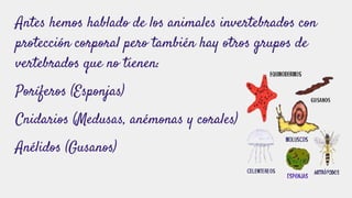 Antes hemos hablado de los animales invertebrados con
protección corporal pero también hay otros grupos de
vertebrados que no tienen:
Poríferos (Esponjas)
Cnidarios (Medusas, anémonas y corales)
Anélidos (Gusanos)
 