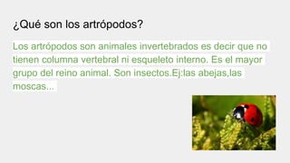 ¿Qué son los artrópodos?
Los artrópodos son animales invertebrados es decir que no
tienen columna vertebral ni esqueleto interno. Es el mayor
grupo del reino animal. Son insectos.Ej:las abejas,las
moscas...
 