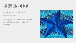 las estrellas de mar
Reciben el nombre de
Asteroidea.
La mayoría tiene una capa
de pinchos por todo el
cuerpo.
 
