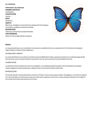Las mariposas
Información: las mariposas
NOMBRE CIENTÍFICO
Lepidóptera
CLASIFICACIÓN
Insecto
DIETA
Herbívoro
HÁBITAT
Marismas,manglares,dunasde arena,bosquesde tierrasbajas,
humedales,praderasyzonasde montaña
DISTRIBUCIÓN
Todoslos continentesexceptoAntártida
VIDA PROMEDIO
Hasta 12 mesesdepende de laespecie
MOSCA
La moscadomésticaesuninsectobienreconocido.Losadultostienenuncuerpode 8 a 12 milímetrosde longitud,
segmentadoencabeza,tórax yabdomen.
DISTRIBUCIÓN Y HÁBITAT
La moscadomésticaesunode los animalesmásextendidosdel mundo,ypuede encontrarse encualquierlugardonde
hay personas,puesse hallasiempreenasociaciónconlossereshumanosolasactividadesde estos.
ALIMENTACIÓN
La dietade lamosca domésticanoesmuy exigente.Losindividuosadultospuedenconsumirlíquidosazucarados,
materiaorgánicaen descomposición,sangre yheces,entreotrosfluidosymateriales.
REPRODUCCIÓN
El ciclode vidade lamosca domésticaconsiste en4fases:huevo,larva,pupay adulto.Espolígama,y el macho se aparea
con variashembras,mientrasque estasamenudosolose apareanuna vezensu viday despuésalmacenanel esperma
con el que fertilizaránmáshuevosenel futuro.
 
