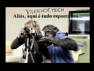 Aliás, aqui é tudo espontâneo... 