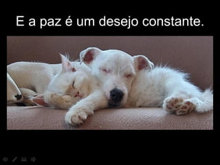 E a paz é um desejo constante. 