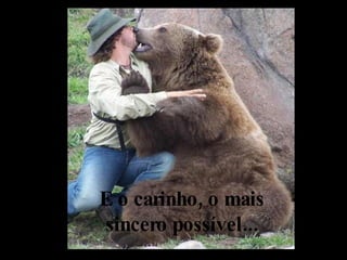E o carinho, o mais sincero possível... 