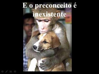 E o preconceito é inexistente 